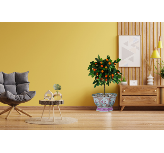 NHỮNG MẸO TRANG TRÍ, SƠN NHÀ ĐÓN TẾT 2026